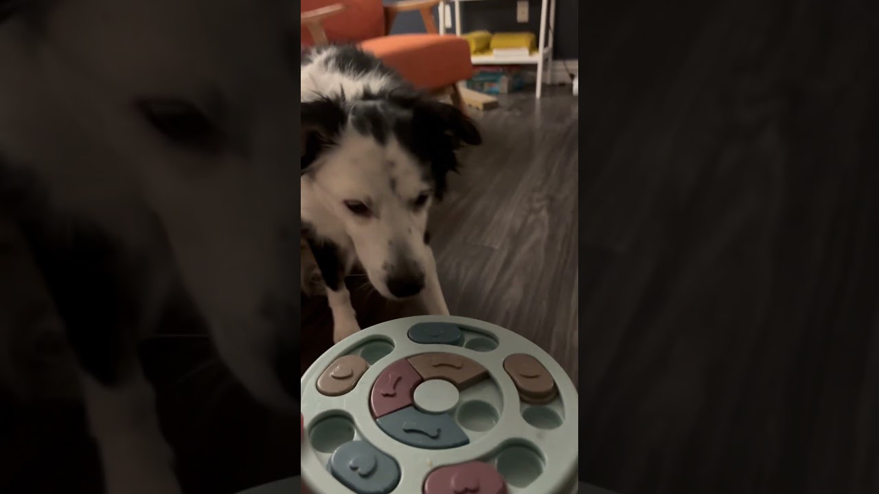 Mental exercise is key 