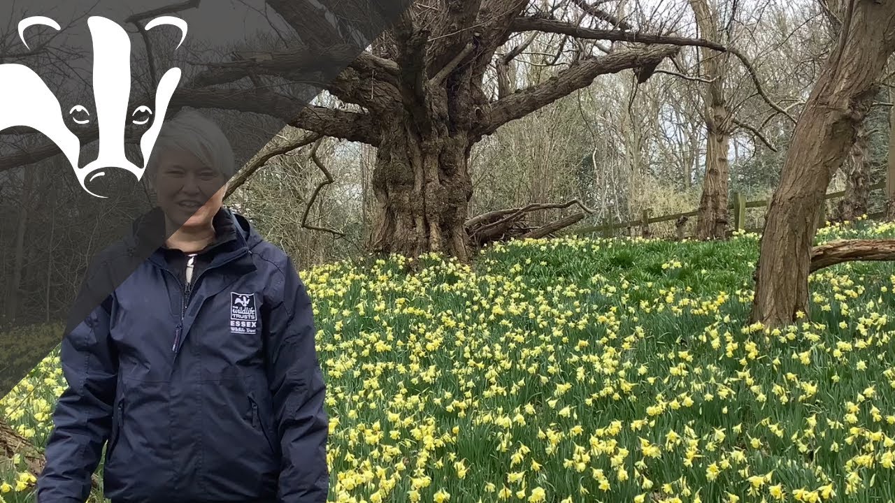 Warley Place nature reserve tour