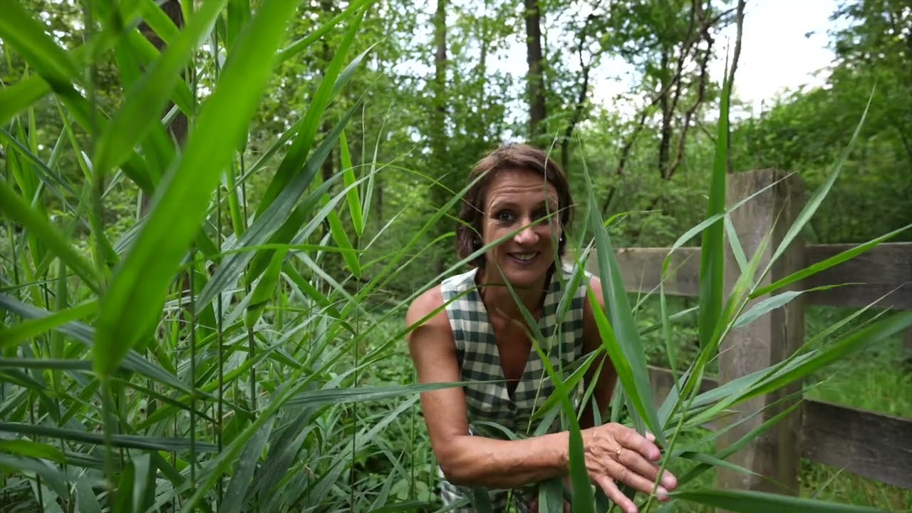 Update over de werkzaamheden in het Ulvenhoutse Bos