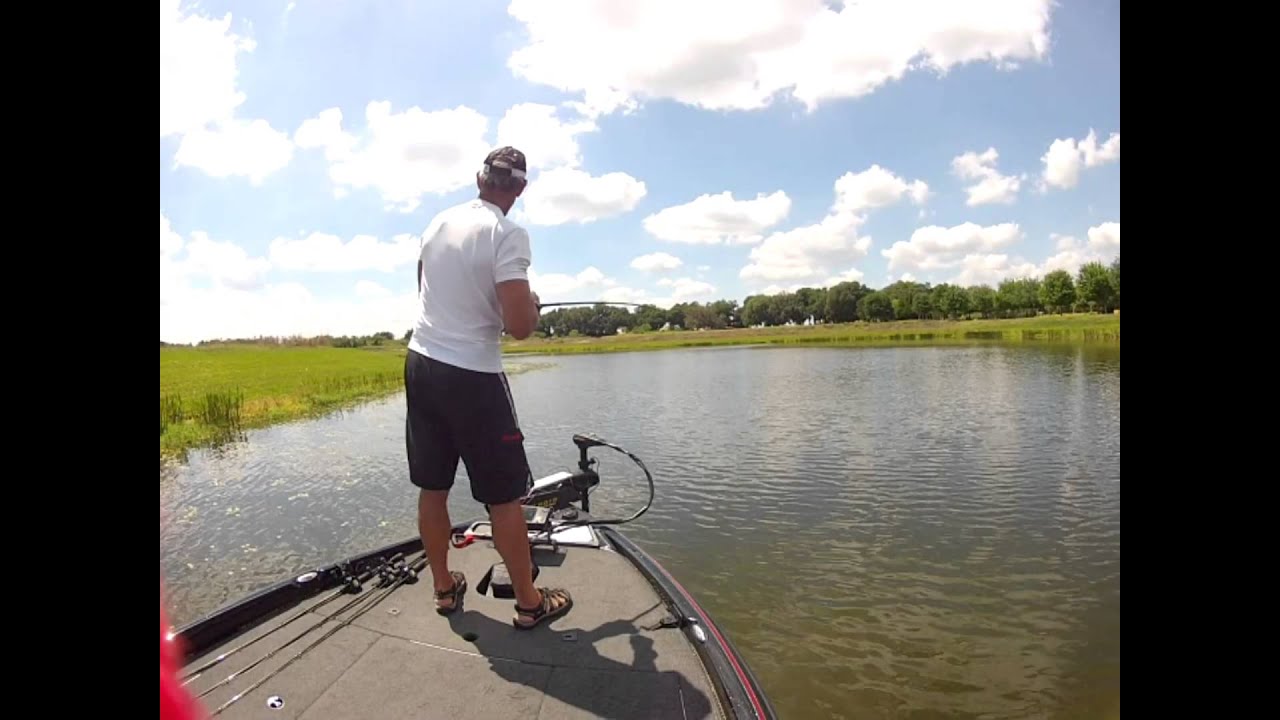 BIG BASS JACK CRUSHES HAWGS WITH  TOPWATER FROGS!