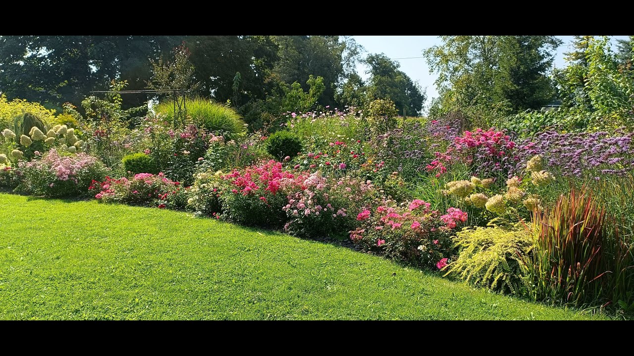 Jakie rośliny wybrać aby cały rok było kwitnąco -  Inspiracje  2024  Stwórz ogród marzeń