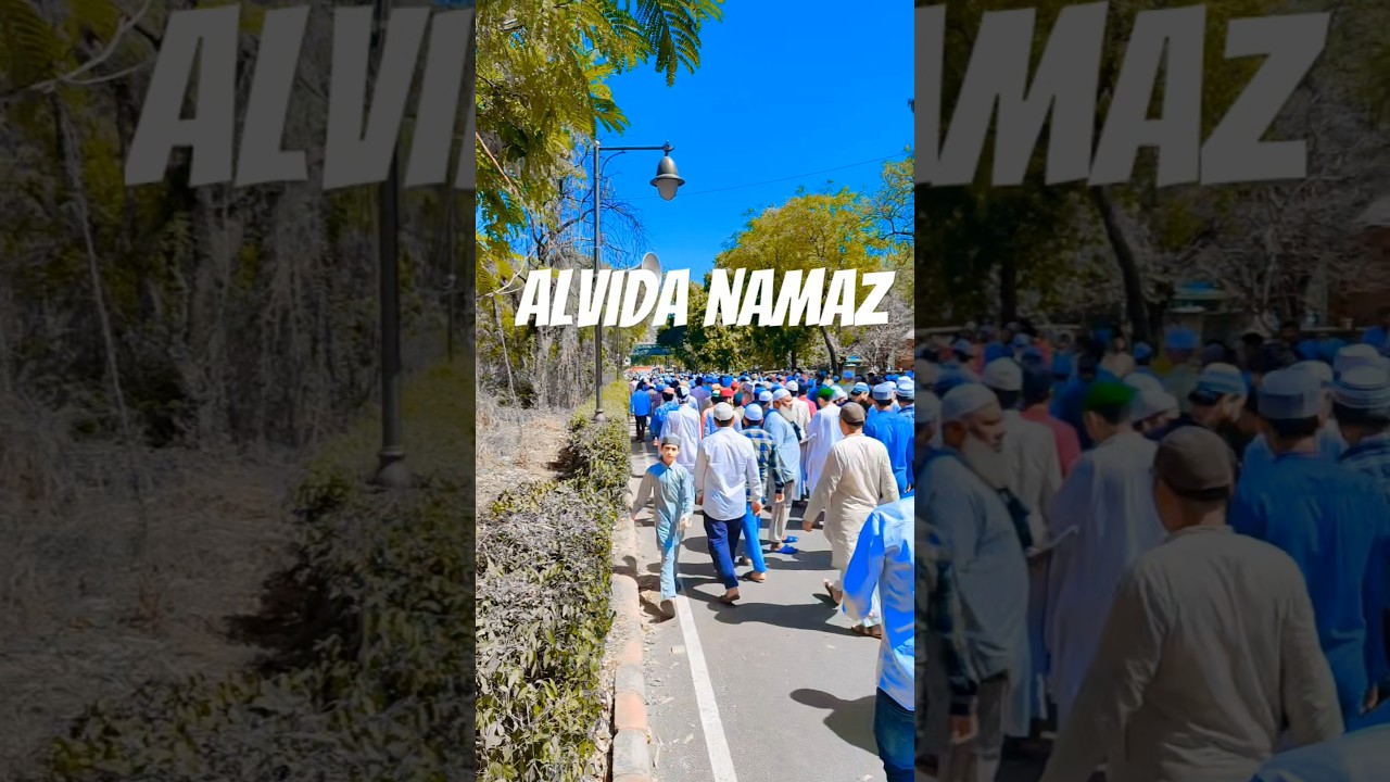 Alvida namaz #Delhi Majithia Alvida namaz #reels #duet #viralreels #instareels #viralshort