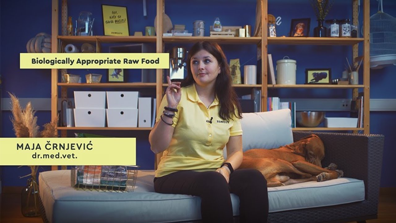 Sirova hrana (BARF) - VLOG veterinarke Maje Črnjević