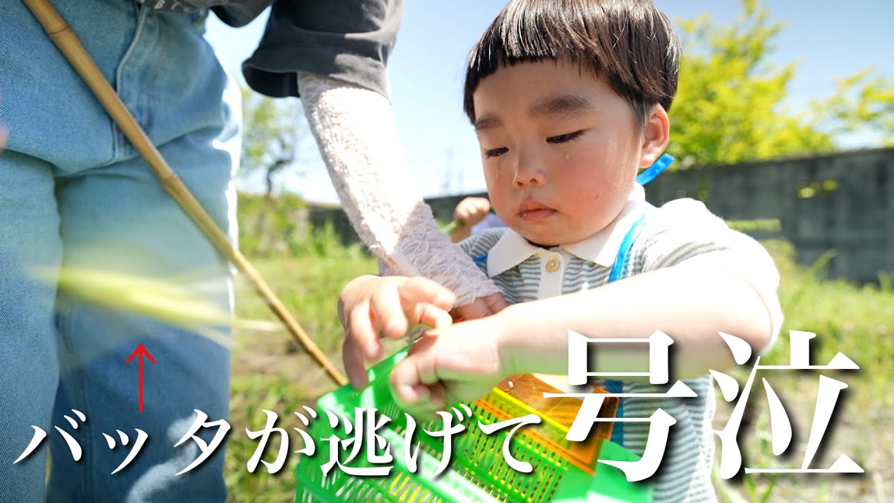 【4世代で過ごす】バッタが逃げて大号泣する子どもの日