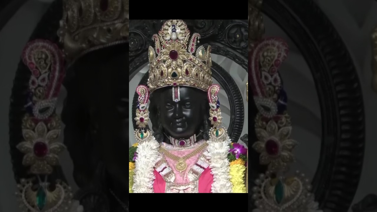 Shri Ram Lala darshan #jaishreeram #radheradhe #mahadev #ayodhya #indreshji #vrindavan#ram #status