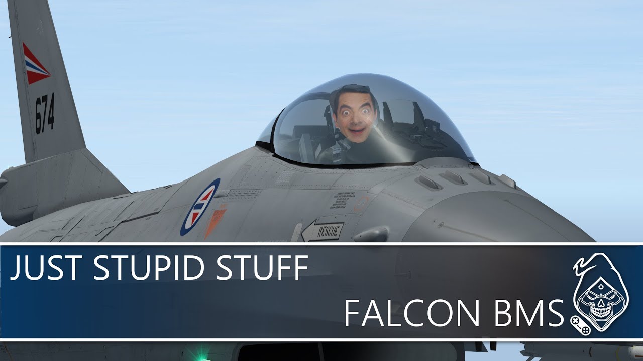 FALCON BMS: JUST STUPID STUFF!