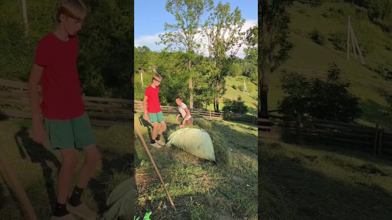 Life in the mountains far from civilization 