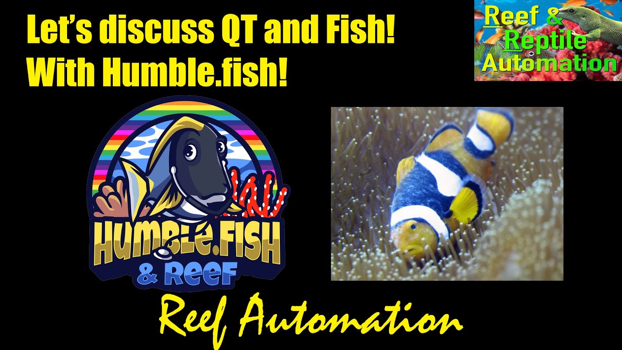 Reef Automation Live Stream Ep 84 - Let's discuss QT and Fish diseases with Humble.fish!