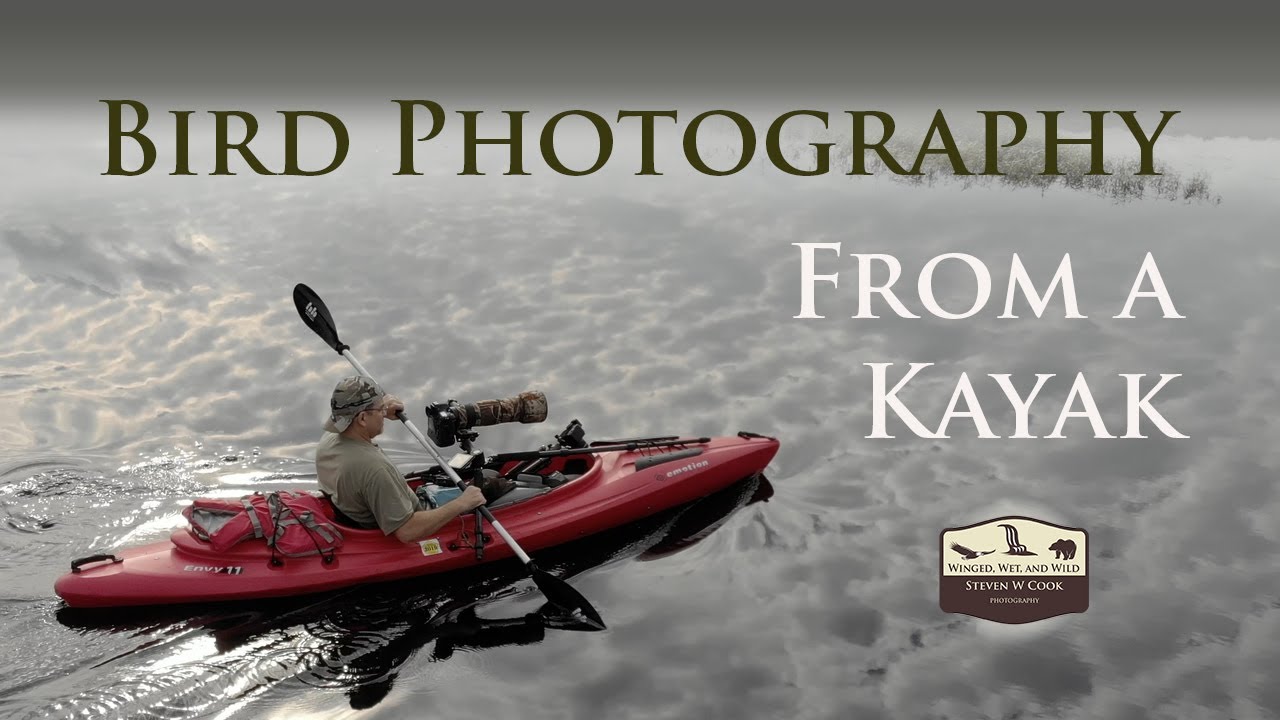 Bird Photography From a Kayak