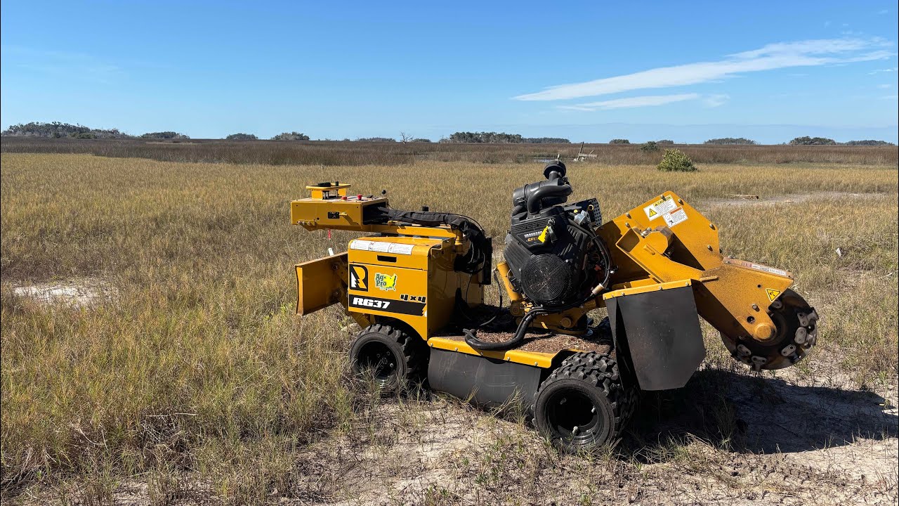 Stump grinding in the middle of a swamp! (How I get stump grinding jobs) Crazy tip from a customer!