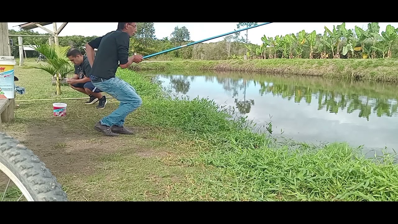 Pegando tilapia!  A revanxe parte [1]
