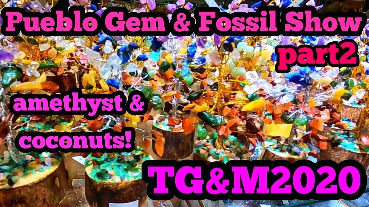 Tucson Gem And Mineral Shows 2020 Pueblo Gem And Fossil Show part 2