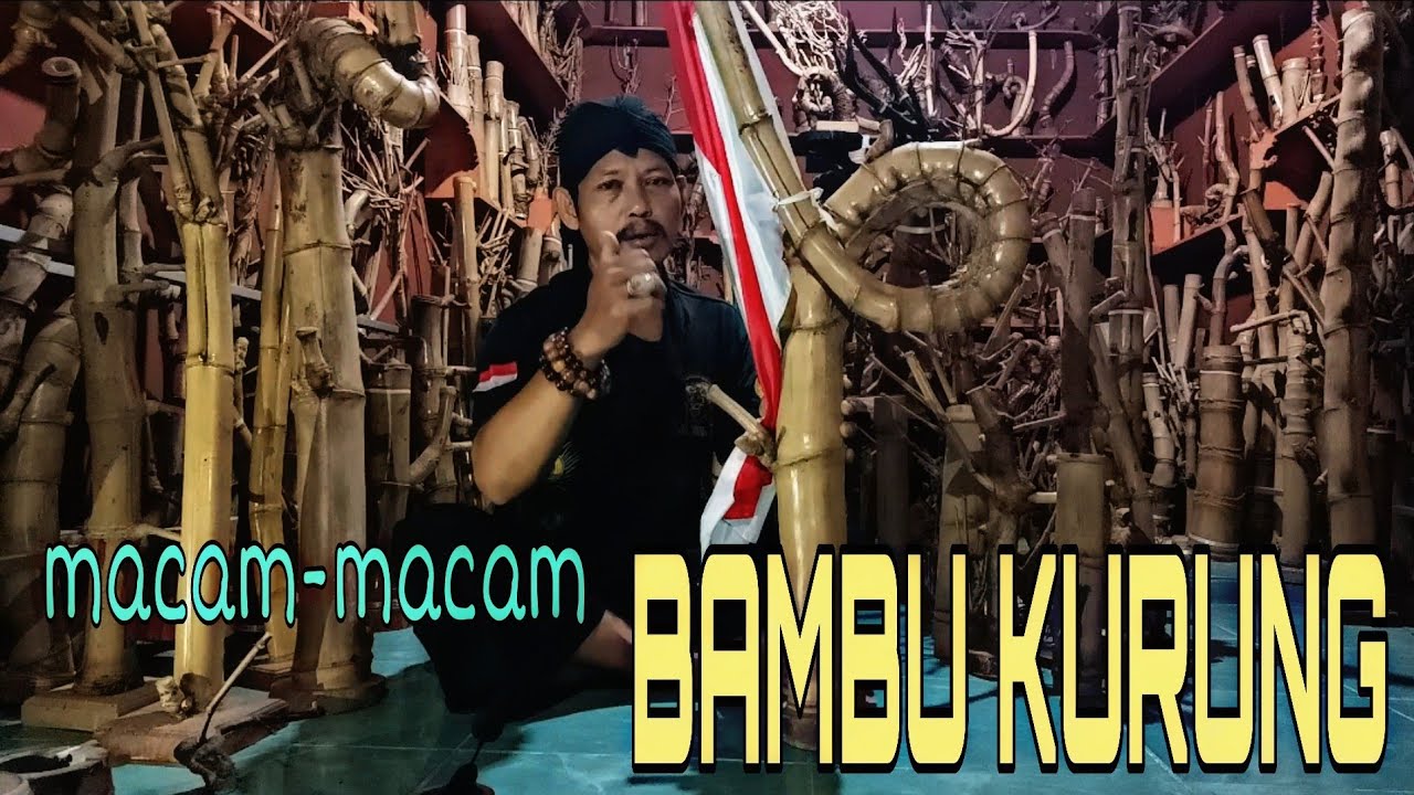 Macam Jenis Bambu Kurung Sesuai Ciri Fisik Bambu Unik Nusantara