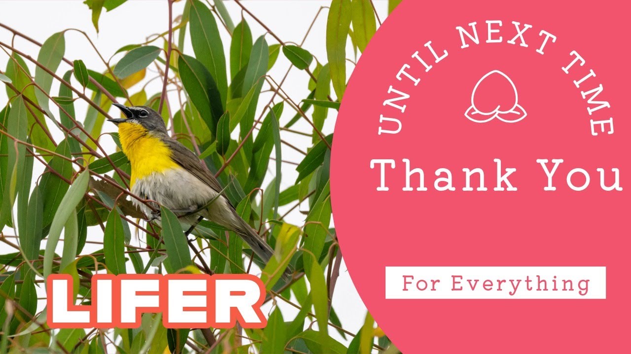 Taking a Step Back… But Not Goodbye!