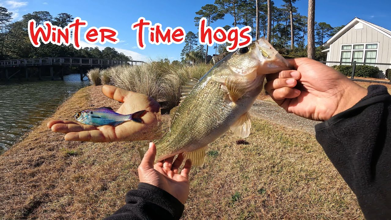 This One Winter Lure Outfishes Everything Else 