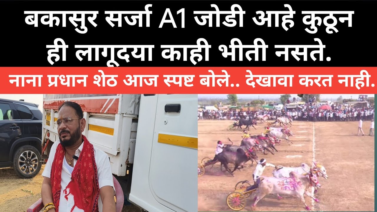 बकासुर सर्जा A1 जोडी आहे कुठून ही लागूदया काही भीती नसते नाना प्रधान शेठ आज स्पष्ट बोले 
