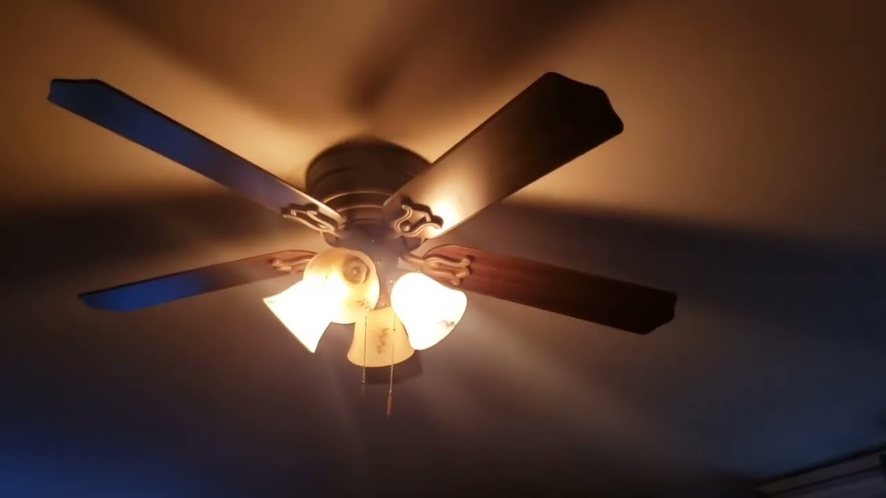 Ceiling Fans In My House 3