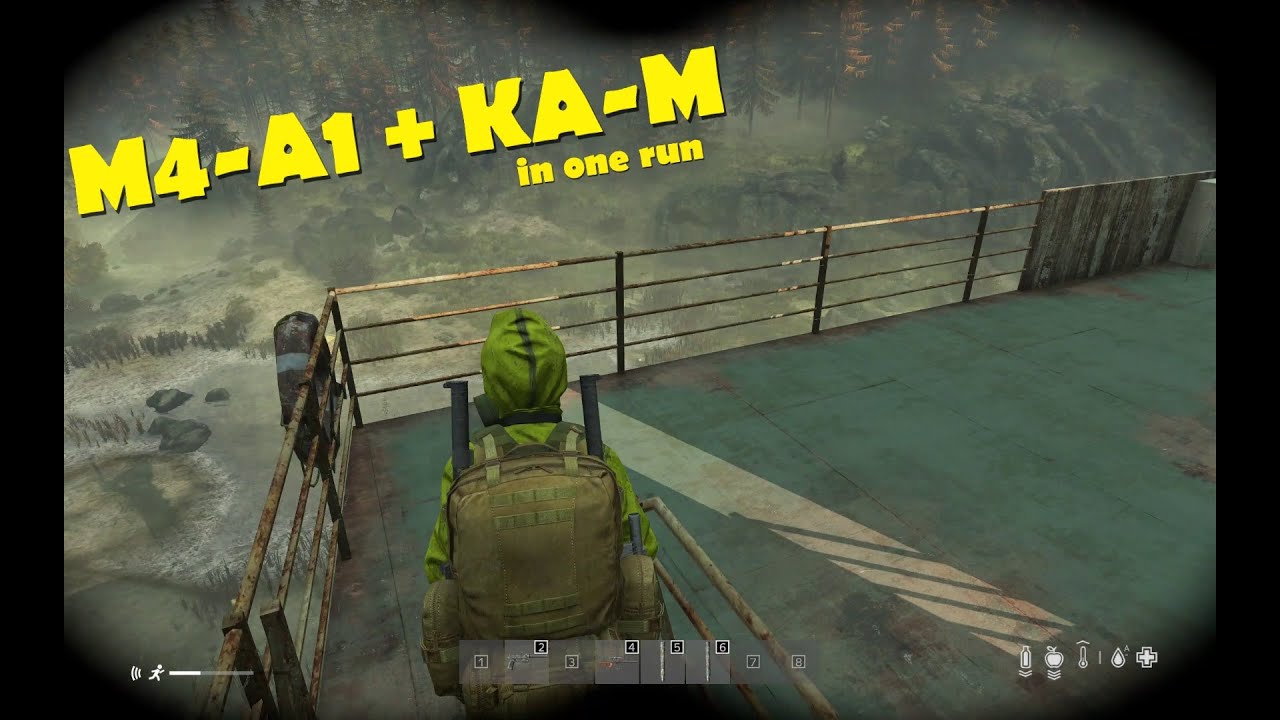 My Best Rify run so far #dayz #vanilla #1.19