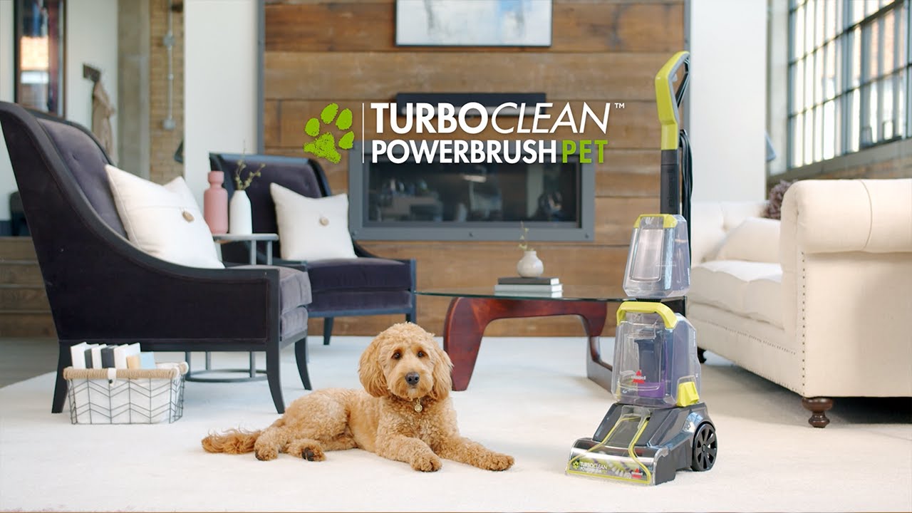 BISSELL® TurboClean™ PowerBrush Pet Carpet Cleaner Feature Overview