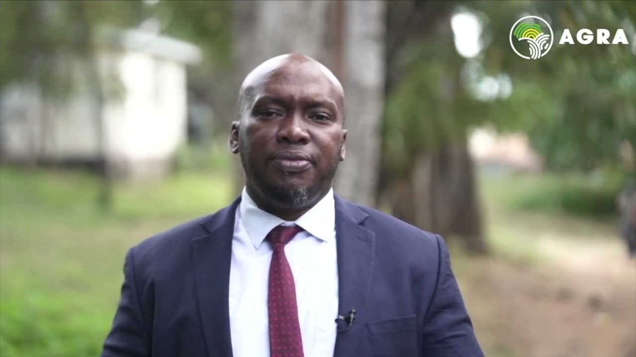 How Kenyan Farmers TRIPLED Their Yields with Climate-Smart Agriculture | STRAK Project