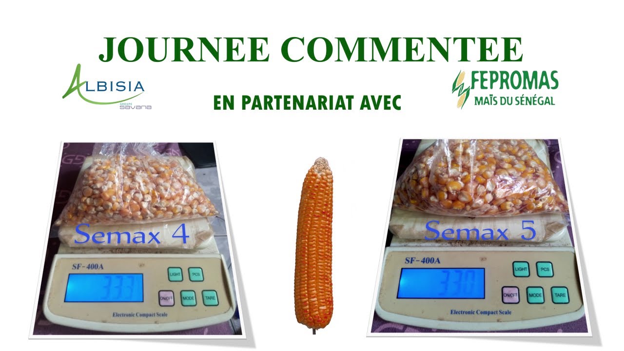SEMAX 5 / SEMAX 4 : Les producteurs donnent leur avis