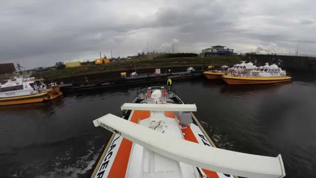 Lacerta IJmuiden 20 8 2014