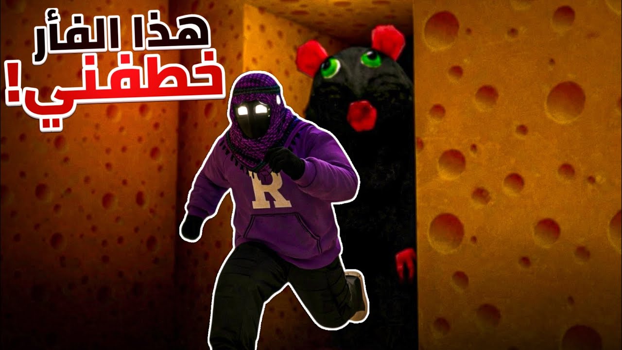 هاذا الفأر خطفني 🐀