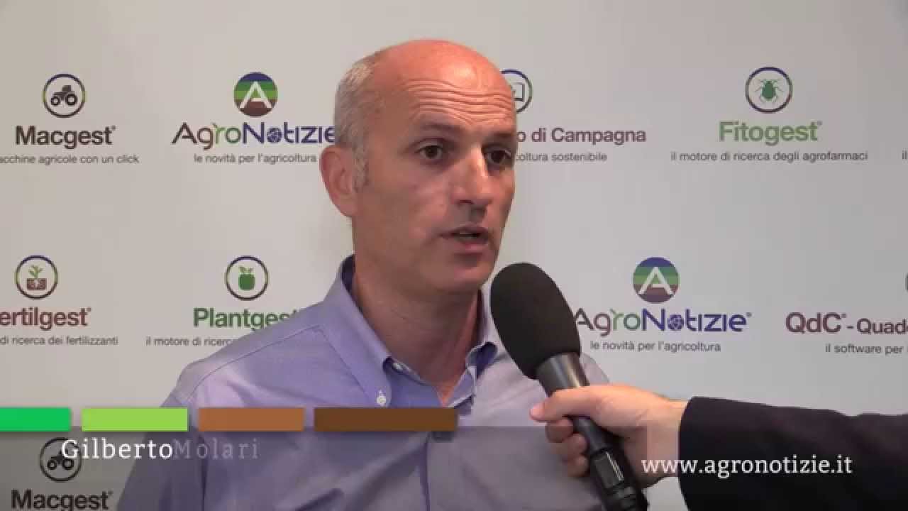 Il nuovo lampone Enrosadira - Vivai Molari a #Macfrut