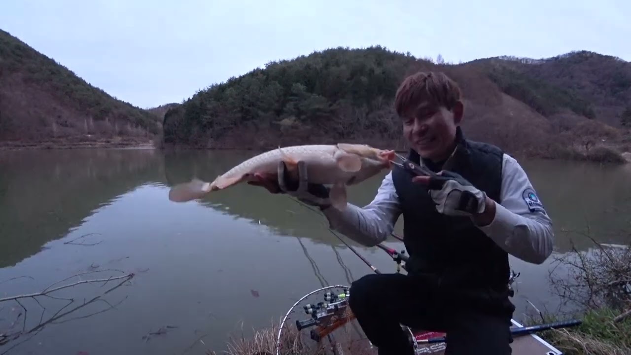 청산어수 어깨 파스좀 붙이고 오겠습니다. 도대체 무슨일이...