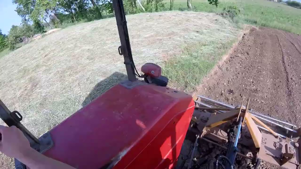 Massey Ferguson 168 - Lely Terra 200  |  Perkins power  |  Fresatura orto-mais 2022