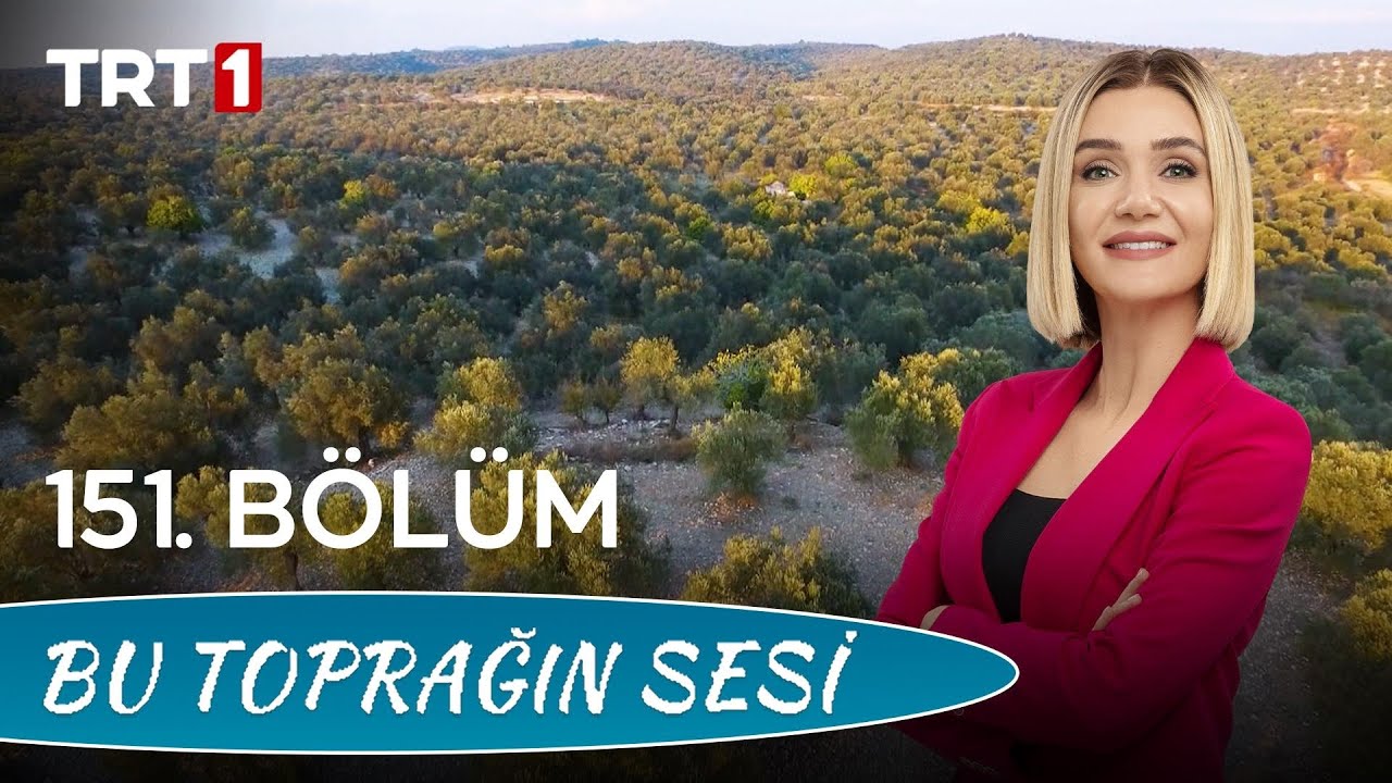 Bu Toprağın Sesi 151. Bölüm – Butı̇k Zeytı̇n Ve Zeytı̇nyağı Üretı̇mı̇nı̇n Sektöre Katkıları