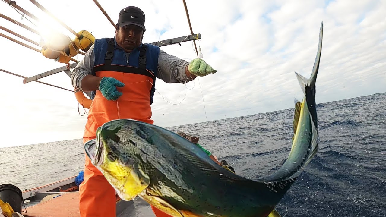 Mira las mejores acciones de PESCA hecho por Pescadores de Alta mar