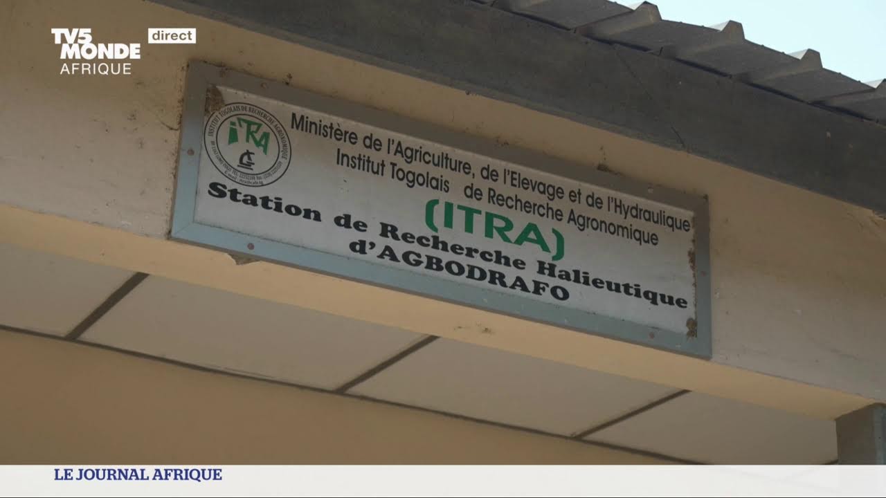 Le journal Afrique du dimanche 16 mars 2025 sur TV5MONDE