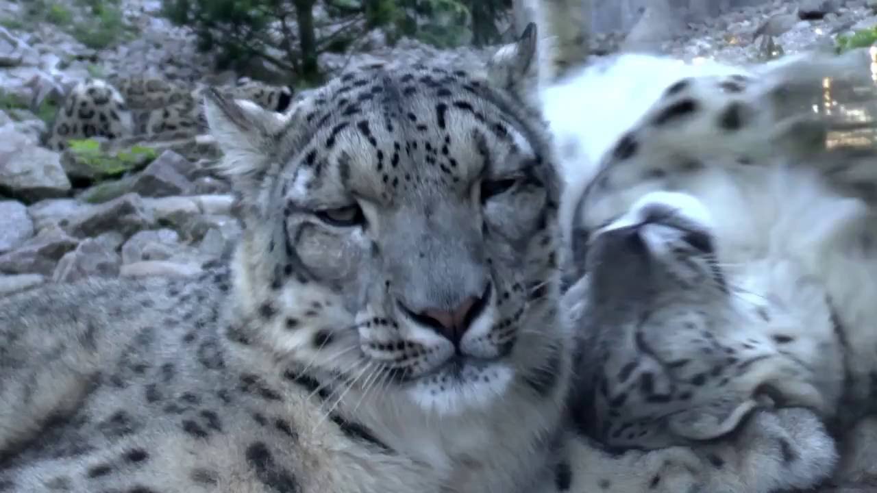 Zoo Karlsruhe