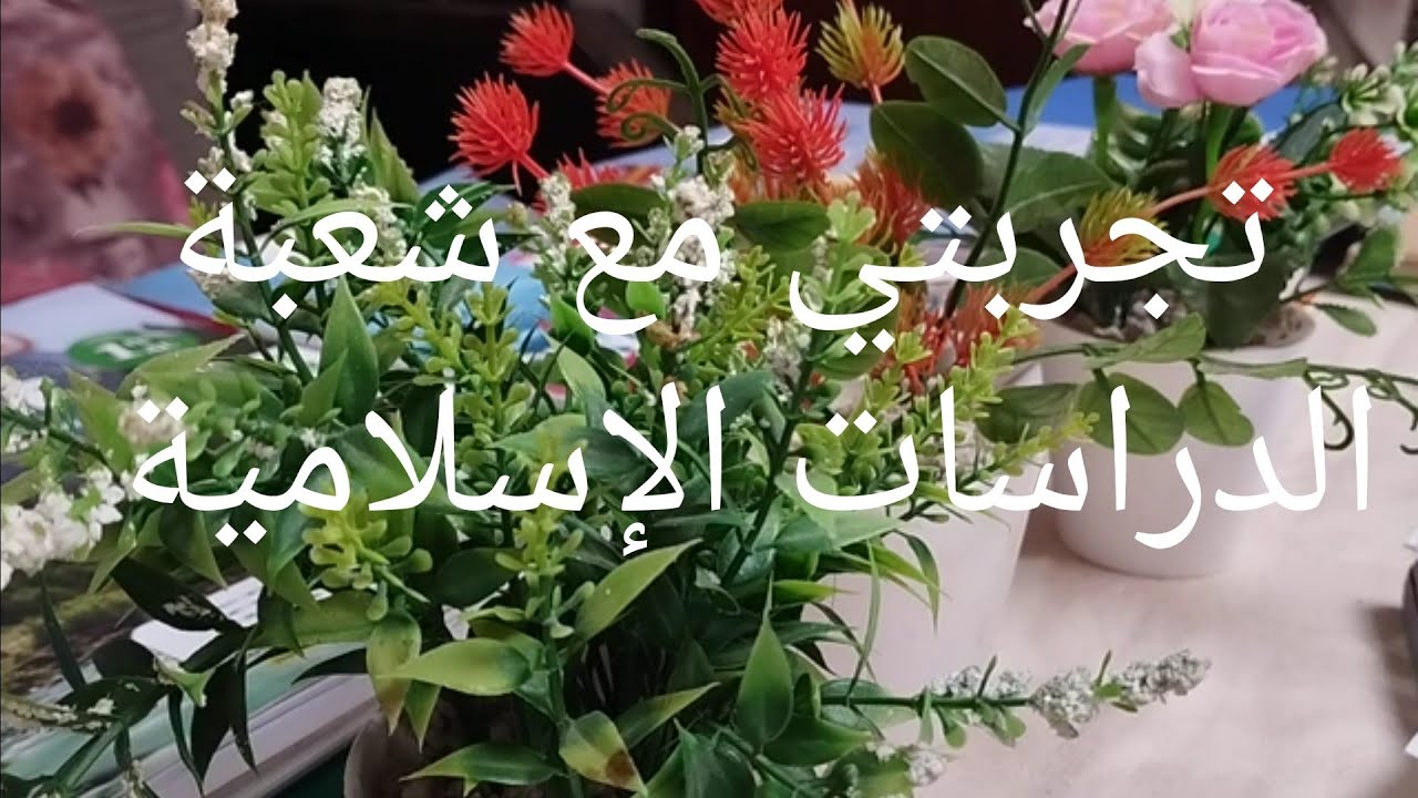 #ماهي شعبة الدراسات الإسلامية؟؟تجربتي مع شعبة الدراسات الإسلامية كأم .وكيف حصلت على الإجازة؟؟؟