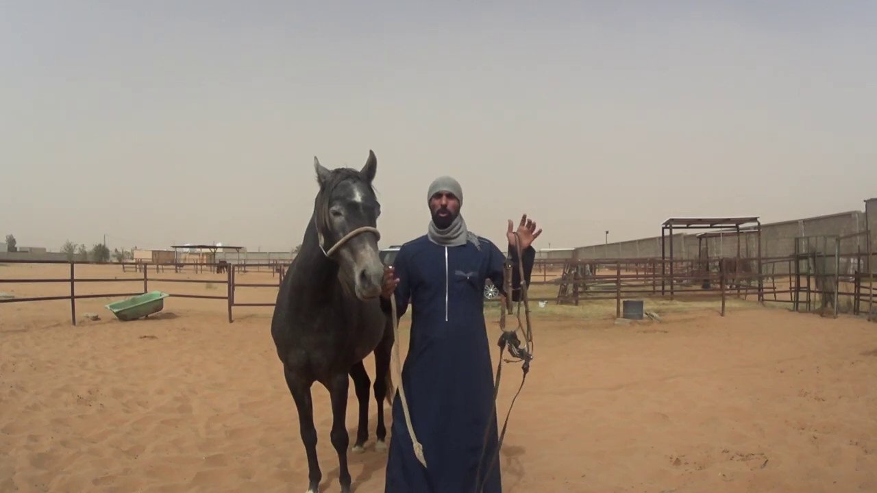 قود العسف او القود الجانبي / ١ (الهواء خرب المقطع لكن قد شرحته سابقا شفويا فهذا المقطع تطبيقي فقط)