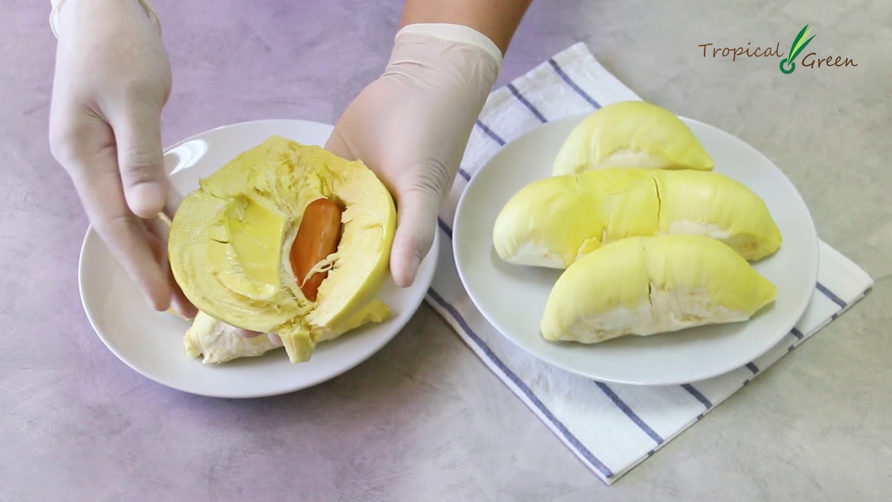 Learn How To Choose Durian Like A Pro   Monthong Chanthaburi