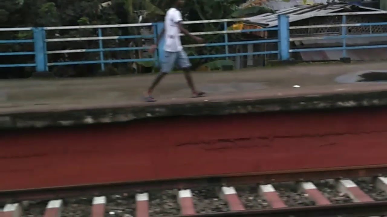 Traveling experience from Jorhat | Jorhat Station and Paddy Fields| 2019