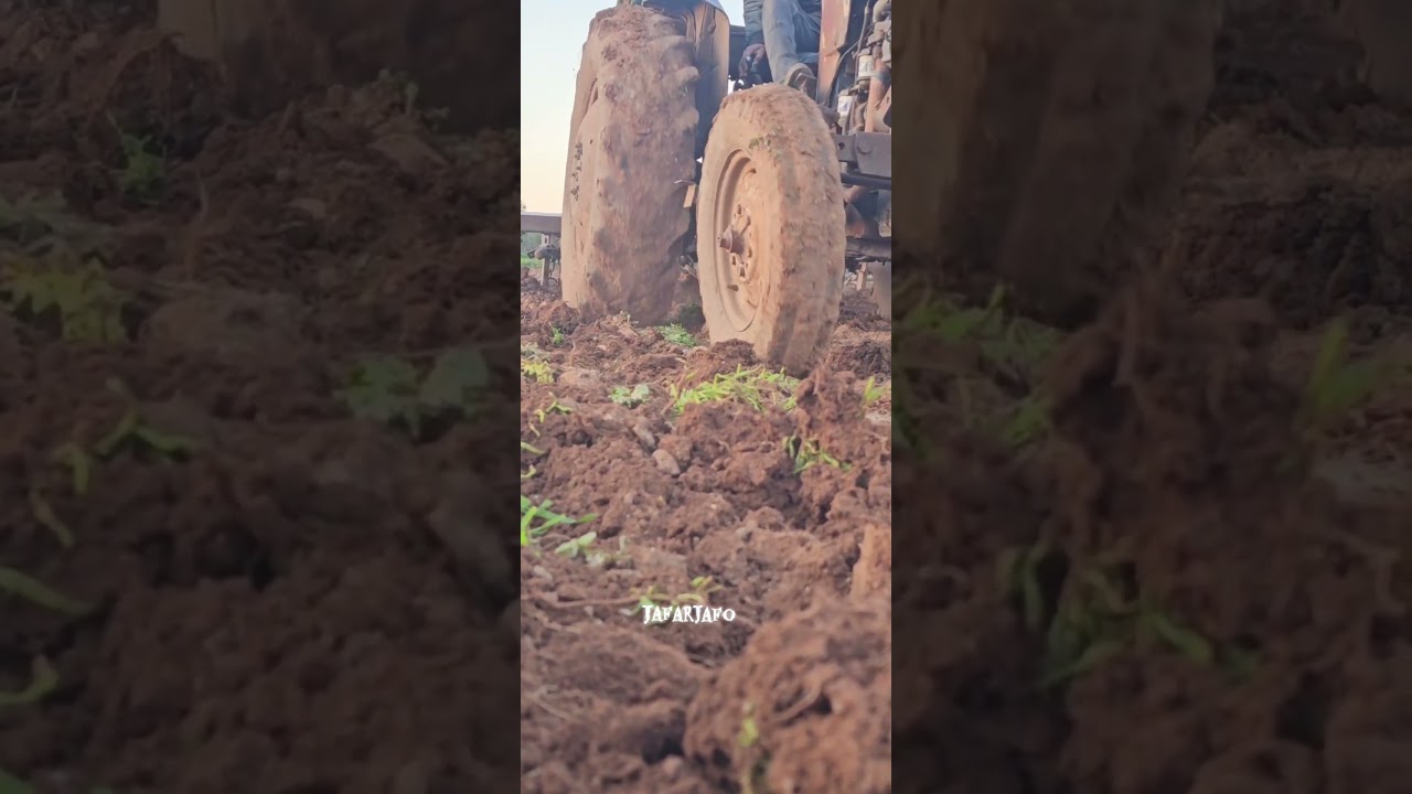 #فلاحة الأرض في عفرين