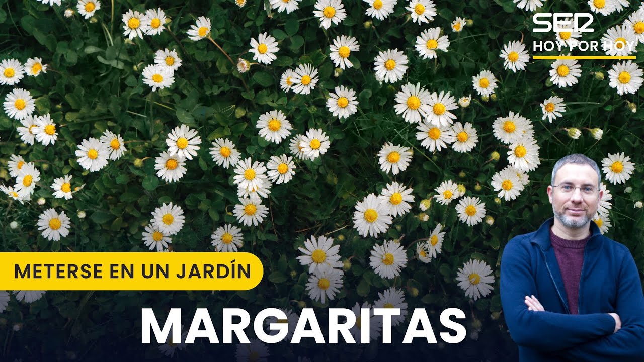 🌼 El secreto de las margaritas | Meterse en un jardín, con Eduardo Barba