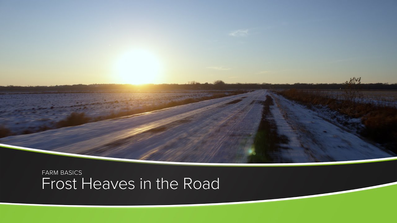 Frost Heaves in the Road