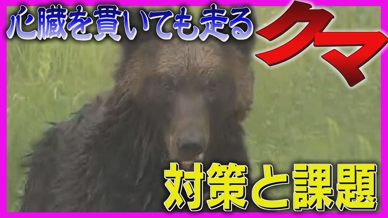 心臓貫いても走るクマ　警察官による駆除検討も課題残る　緊急銃猟対応したハンターが指摘　北海道