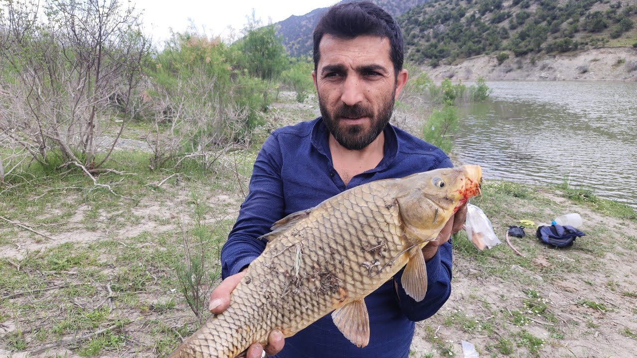 BALIK AVI SAZAN VE LEVREK AVI. Bu Havale Balık Kaynıyor !