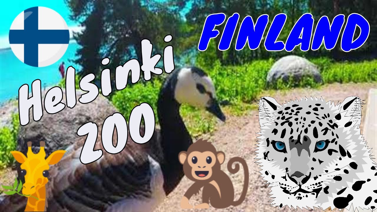 Helsinki Zoo 🇫🇮 Korkeasaari Finland