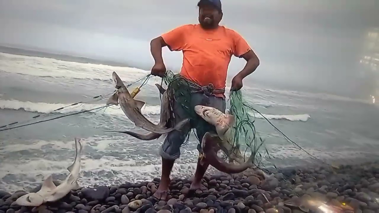 UNA PESCA MILAGROSA