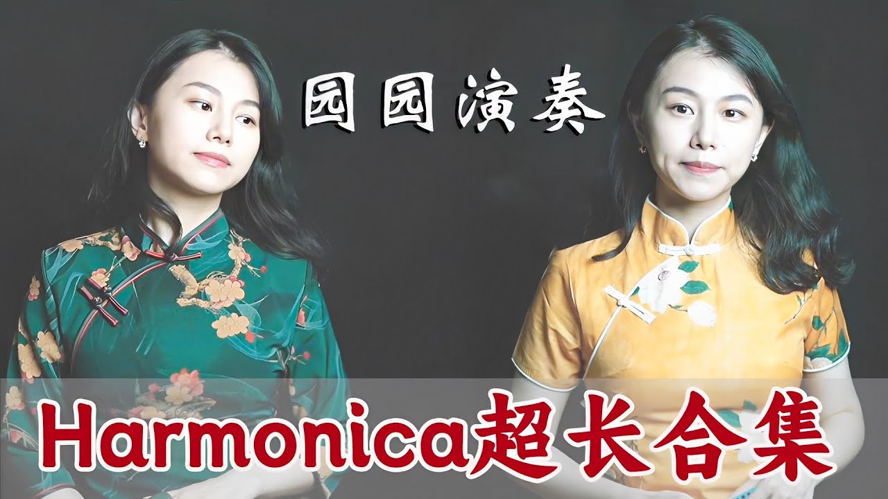 口琴Harmonica演奏歌曲合集五 | 经典好听的音乐合集，一次听过瘾！【吹口琴的小园园】