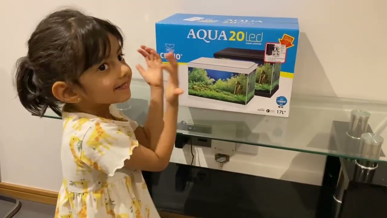 Setting Up Ciano Aqua 20 (17L) Aquarium