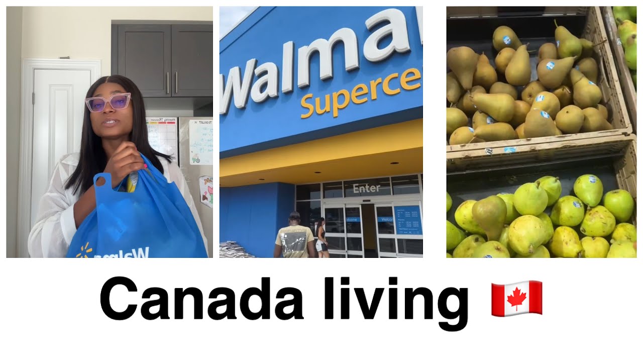 Canada 🇨🇦 living hamilton ontario / grocery shopping in canada/ what $50 bought for me