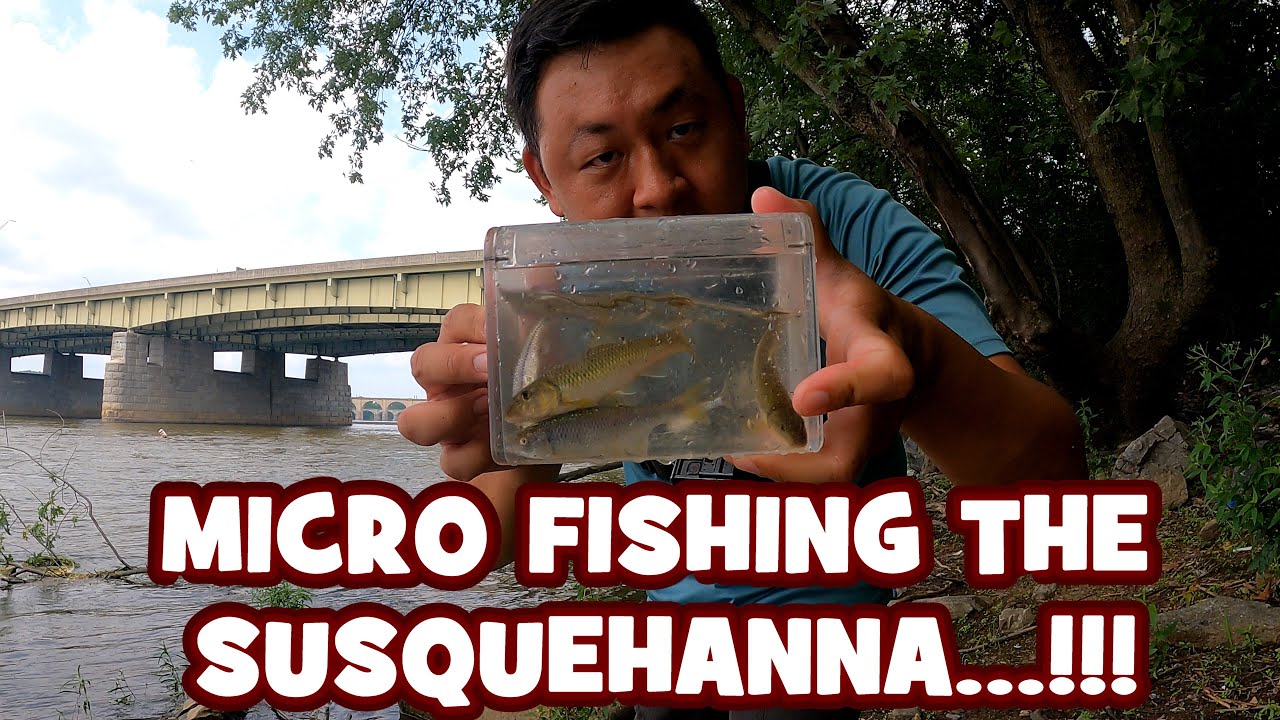 MICROFISHING the SUSQUEHANNA RIVER...!!! [OLDIE, BUT A GOODIE]