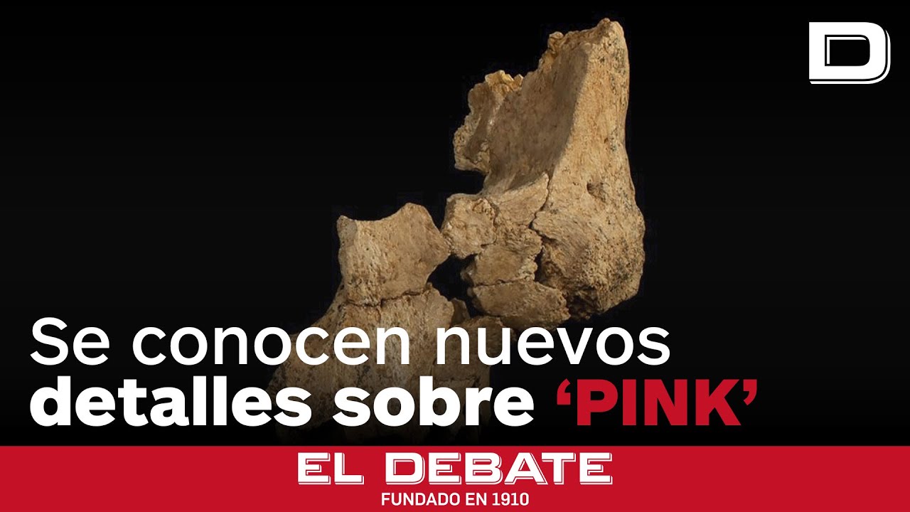 Rosa Huguet da nuevos detalles de Pink: «Nos permite conocer cómo vivían estos primeros homínidos»